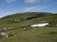 N, Sogn og Fjordane, Sogndal, Skavasshaugane 4, Saxifraga-Willem van Kruijsbergen