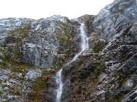 N, Spitsbergen, Burgerbukta 1, Saxifraga-Bart Vastenhouw