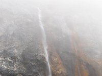 N, Spitsbergen, Burgerbukta 16, Saxifraga-Bart Vastenhouw