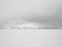 N, Spitsbergen, Fuglesangen 1, Saxifraga-Bart Vastenhouw