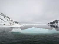 N, Spitsbergen, Fuglesangen 10, Saxifraga-Bart Vastenhouw