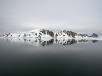 N, Spitsbergen, Fuglesangen 14, Saxifraga-Bart Vastenhouw