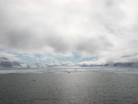 N, Spitsbergen, Fuglesangen 4, Saxifraga-Bart Vastenhouw