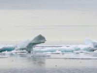 N, Spitsbergen, Hinloopen Strait 1, Saxifraga-Bart Vastenhouw