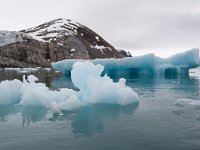 N, Spitsbergen, Kongsfjord 16, Saxifraga-Bart Vastenhouw