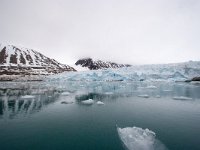 N, Spitsbergen, Kongsfjord 30, Saxifraga-Bart Vastenhouw