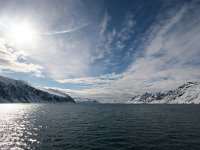 N, Spitsbergen, Kongsfjord 5, Saxifraga-Bart Vastenhouw