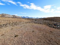 N, Spitsbergen, Longyearbyen 10, Saxifraga-Bart Vastenhouw