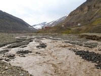 N, Spitsbergen, Longyearbyen 14, Saxifraga-Bart Vastenhouw