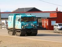 N, Spitsbergen, Longyearbyen 19, Saxifraga-Bart Vastenhouw