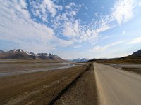 N, Spitsbergen, Longyearbyen 2, Saxifraga-Bart Vastenhouw