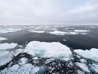 N, Spitsbergen, Noordelijke IJszee, Pakijs 11, Saxifraga-Bart Vastenhouw