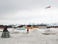 N, Spitsbergen, Ny-Alesund 14, Saxifraga-Bart Vastenhouw