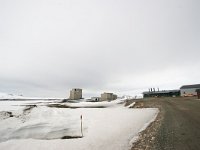 N, Spitsbergen, Ny-Alesund 5, Saxifraga-Bart Vastenhouw