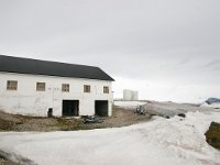 N, Spitsbergen, Ny-Alesund 8, Saxifraga-Bart Vastenhouw