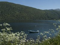 N, Troms, Lenvik, Fjordbotn 1, Saxifraga-Marijke Verhagen