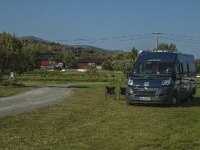 N, Troms, Lenvik, Fjordbotn 8, Saxifraga-Marijke Verhagen