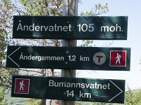 N, Troms, Senja, Anderdalen Nat Park 53, Saxifraga-Willem van Kruijsbergen