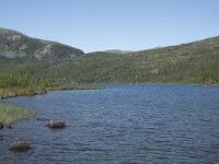 N, Troms, Senja, Anderdalen Nat Park 54, Saxifraga-Willem van Kruijsbergen