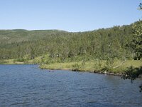 N, Troms, Senja, Anderdalen Nat Park 55, Saxifraga-Willem van Kruijsbergen