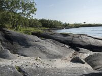 N, Troms, Senja, Katteberget 1, Saxifraga-Willem van Kruijsbergen