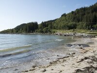 N, Troms, Senja, Katteberget 4, Saxifraga-Willem van Kruijsbergen