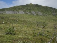 N, Troms, Senja, Skaland, Sommardalen 13, Saxifraga-Willem van Kruijsbergen