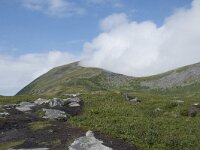 N, Troms, Senja, Skaland, Sommardalen 15, Saxifraga-Willem van Kruijsbergen