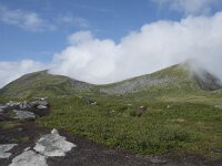 N, Troms, Senja, Skaland, Sommardalen 16, Saxifraga-Willem van Kruijsbergen