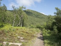 N, Troms, Senja, Skaland, Sommardalen 19, Saxifraga-Willem van Kruijsbergen