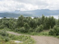 N, Troms, Senja, Skaland, Sommardalen 3, Saxifraga-Willem van Kruijsbergen