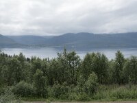 N, Troms, Senja, Skaland, Sommardalen 4, Saxifraga-Willem van Kruijsbergen