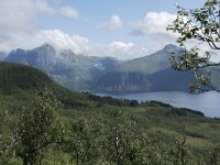 N, Troms, Senja, Skaland, Sommardalen 9, Saxifraga-Willem van Kruijsbergen