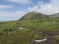 N, Troms, Senja, Skaland, Sommardalhaugen 1, Saxifraga-Willem van Kruijsbergen