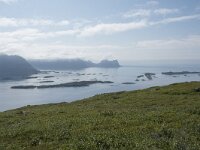 N, Troms, Senja, Skaland, Sommardalhaugen 2, Saxifraga-Willem van Kruijsbergen