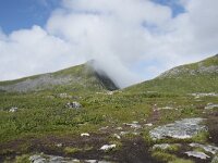 N, Troms, Senja, Skaland, Sommardalhaugen 4, Saxifraga-Willem van Kruijsbergen