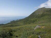 N, Troms, Senja, Skaland, Sommardalhaugen 5, Saxifraga-Willem van Kruijsbergen
