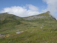 N, Troms, Senja, Skaland, Sommardalhaugen 6, Saxifraga-Willem van Kruijsbergen
