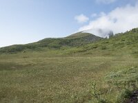 N, Troms, Senja, Skaland, Sommardalhaugen 8, Saxifraga-Willem van Kruijsbergen
