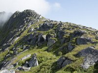N, Troms, Senja, Storbrusen 2, Saxifraga-Willem van Kruijsbergen