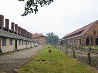 PL, Malopolskie, Oswiecim, Auschwitz I 2, Saxifraga-Tom Heijnen