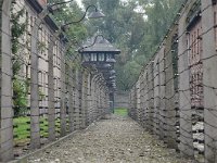 PL, Malopolskie, Oswiecim, Auschwitz I 4, Saxifraga-Tom Heijnen