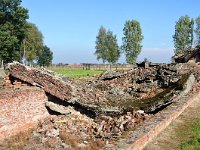 PL, Malopolskie, Oswiecim, Auschwitz-Birkenau 2, Saxifraga-Tom Heijnen