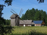 PL, Podlaskie, Bialowieza 14, Saxifraga-Hans Dekker