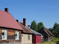 PL, Podlaskie, Bialowieza 16, Saxifraga-Hans Dekker