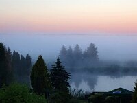 PL, Podlaskie, Goniadz 2, Saxifraga-Hans Dekker