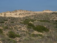 P, Faro, Aljezur, Carrapateira 147, Saxifraga-Willem van Kruijsbergen