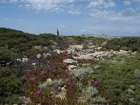 P, Faro, Aljezur, Carrapateira 185, Saxifraga-Willem van Kruijsbergen