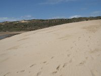 P, Faro, Aljezur, Carrapateira, Praia da Bordeira 17, Saxifraga-Willem van Kruijsbergen