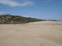 P, Faro, Aljezur, Carrapateira, Praia da Bordeira 20, Saxifraga-Willem van Kruijsbergen